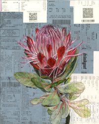 protea